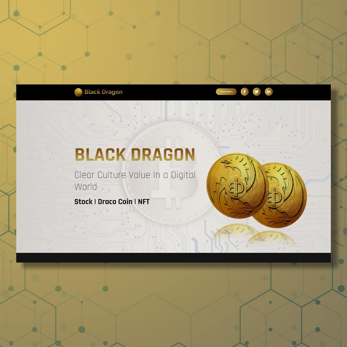 Black Dragon Portfolio
