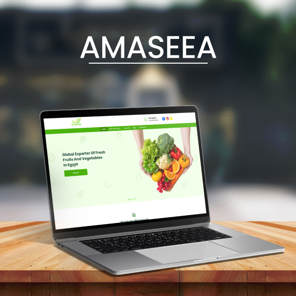 Amaseea - portfolio
