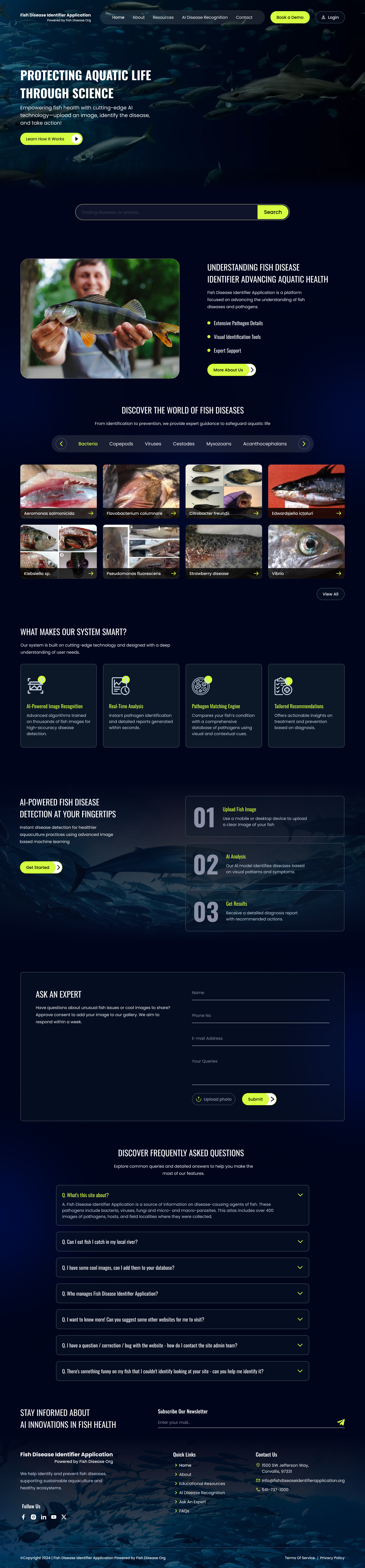 ui ux