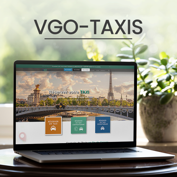 VGO TAXIS - Portfolio